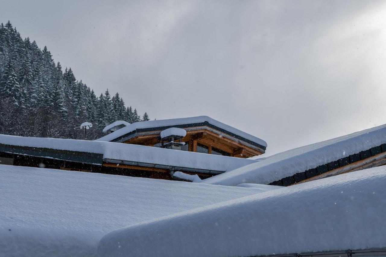 Appartement Roof Moutain View Direct Access Morzine Avoriaz *